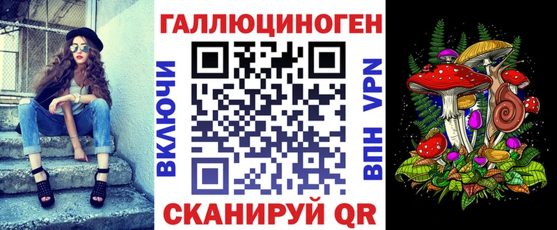 Купить где Алзамай Галлюциногенные грибы GOLDEN TEACHER